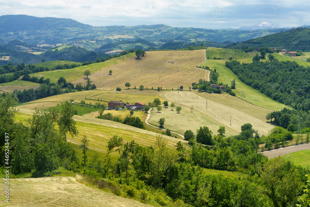 Rural landscape near Riolo and Castellarano, Emilia-Romagna.