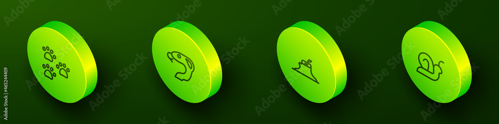 Set Isometric line Paw print, Snake, Tree stump and Snail icon. Vector Set Isometric line Paw print, Snake, Tree stump and Snail icon. Vector
