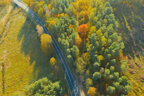 Asfaltowa droga w mieszanym, liściasto iglastym lesie. Jest jesień, liście na liściastych drzewach i krzewach mają żółty i brązowy kolor. Zdjęcie z drona.