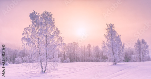 Frozen tree branches in a purple morning sky background, extremely cold environment. Winter view, frosty, cold, icy landscape