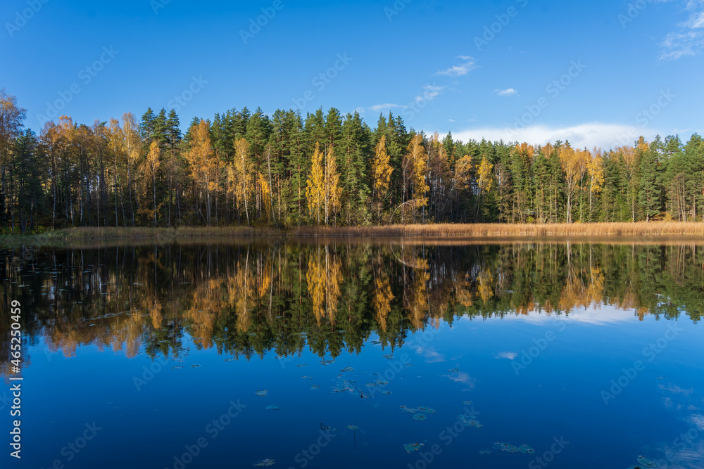 The fall landscape with a reflection on the lake.