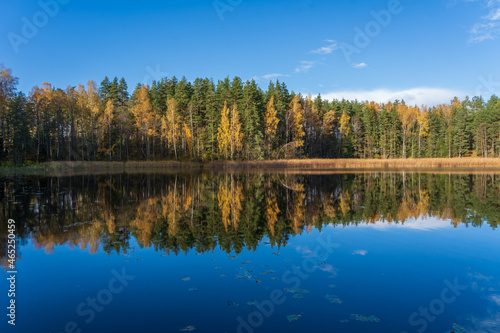 Fototapeta Naklejka Na Ścianę i Meble -  The fall landscape with a reflection on the lake.