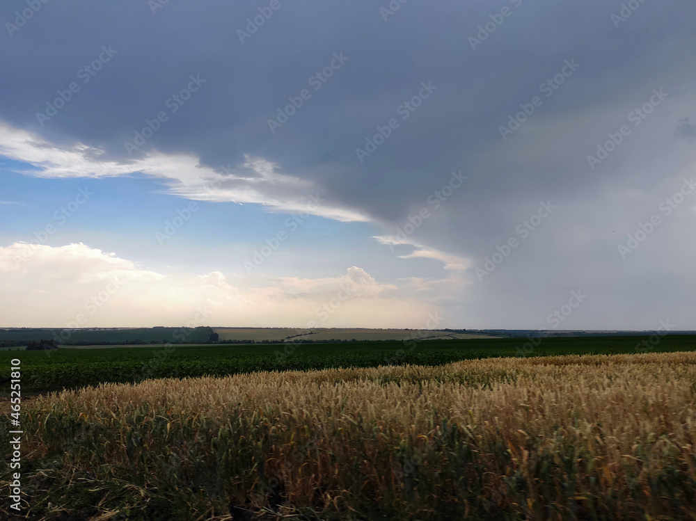 Rain above the field