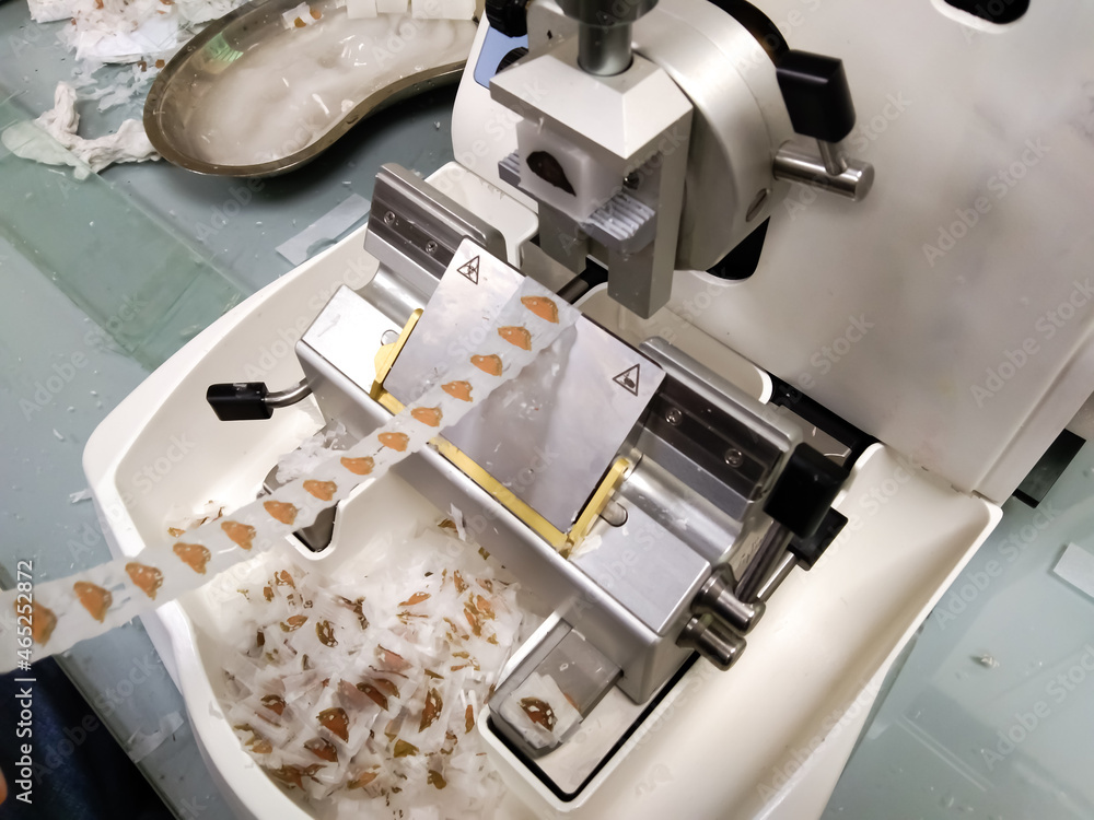 Tissue cutting machine. Manual Rotary Microtome isolated with