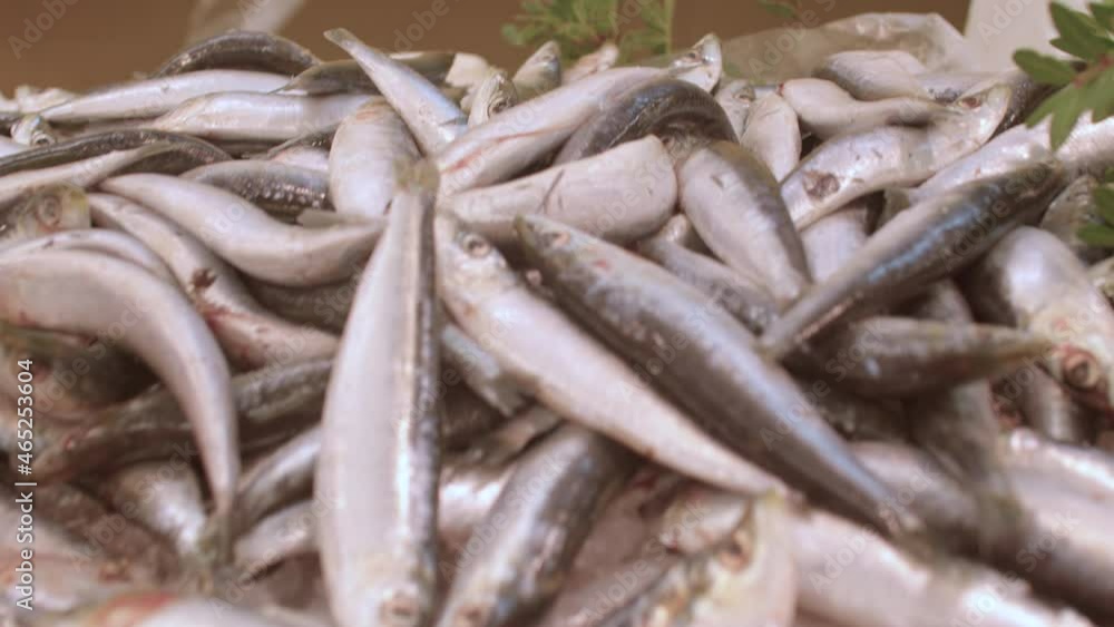 Crustaceans and small fish close-up. A fish export business is both profitable and reliable. Assortment of seafood in the store. Crustaceans and small fish close-up. A fish export business is both profitable and reliable. Assortment of seafood in the store.