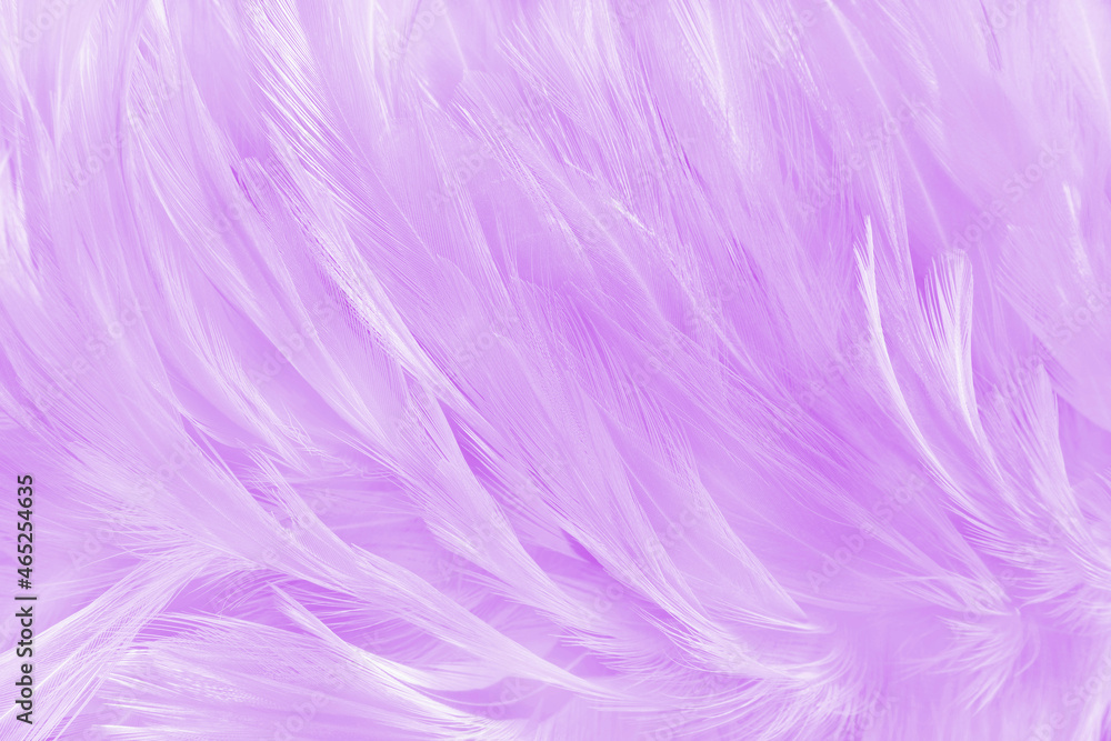 Beautiful soft purple bird feathers pattern texture background.