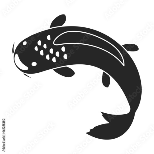 Carp vector icon.Blackvector icon isolated on white background carp. photo