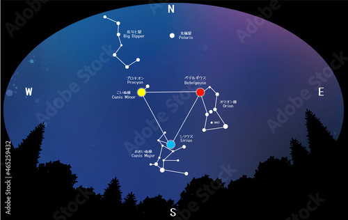 森林から見る 冬の夜空を彩る星座の冬の大三角形