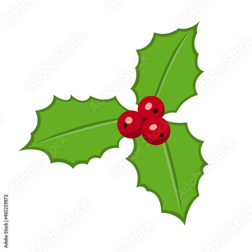 Christmas mistletoe isolated on white background with red berries.Three mistletoe leaves. Christmas mood