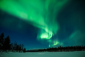 Leinwandbilder Nordlichter Aurora Borealis in Lapplands Nachtlandschaft  © Dimitri