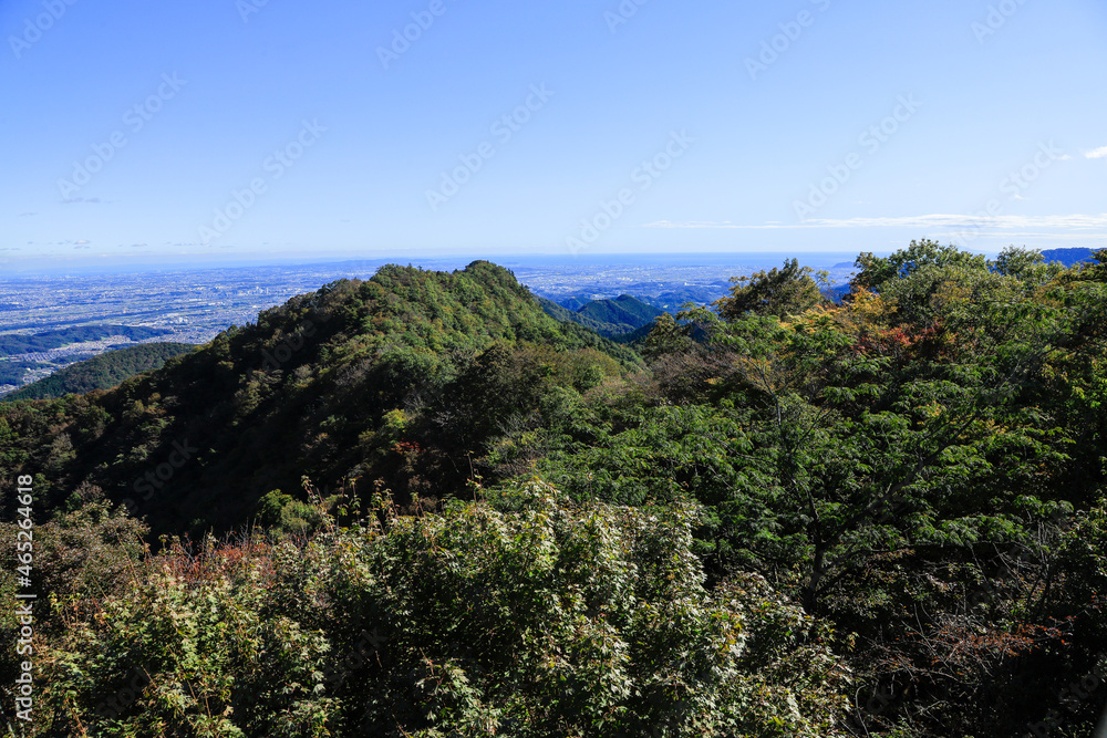 Obraz premium view from the sea