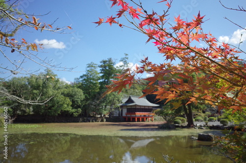美しい秋の日本庭園