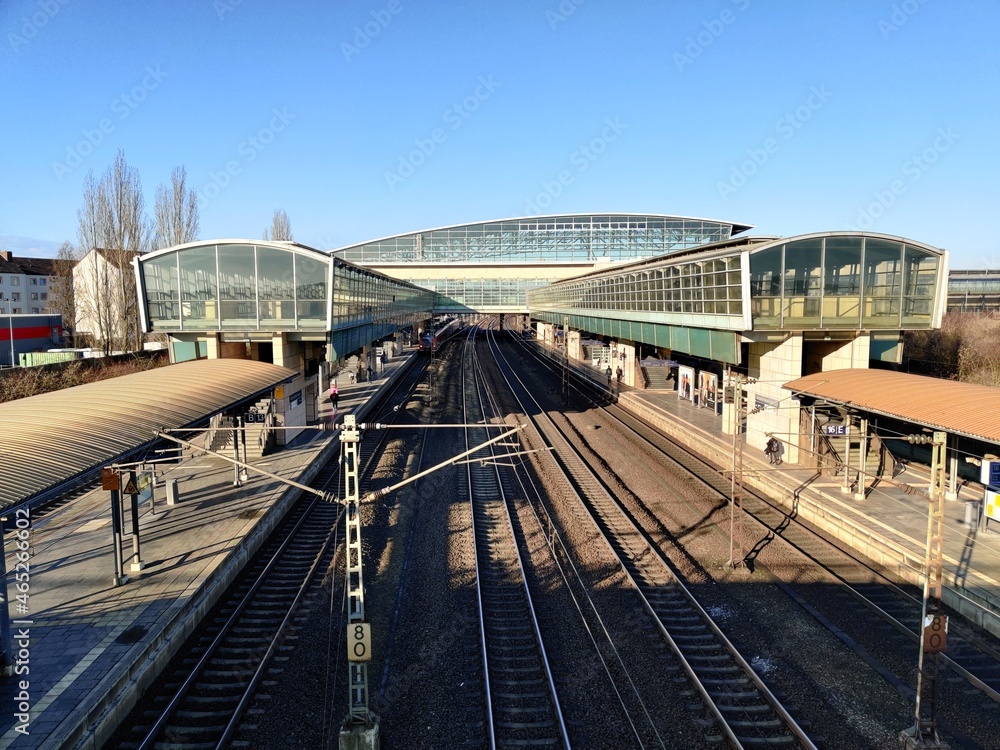 Naklejka premium nature