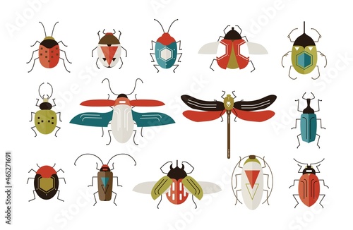 Collection of various colorful geometric insects with wings and antennas isol...