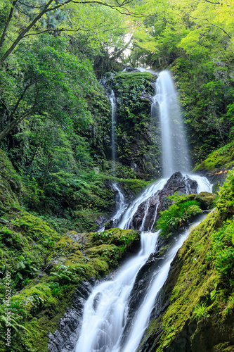 雨乞の滝　徳島県神山町　Amagoi Waterfall. Tokushima-ken Kamiyama Town