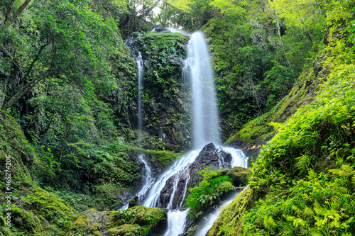 雨乞の滝 徳島県神山町 Amagoi Waterfall. Tokushima-ken Kamiyama Town