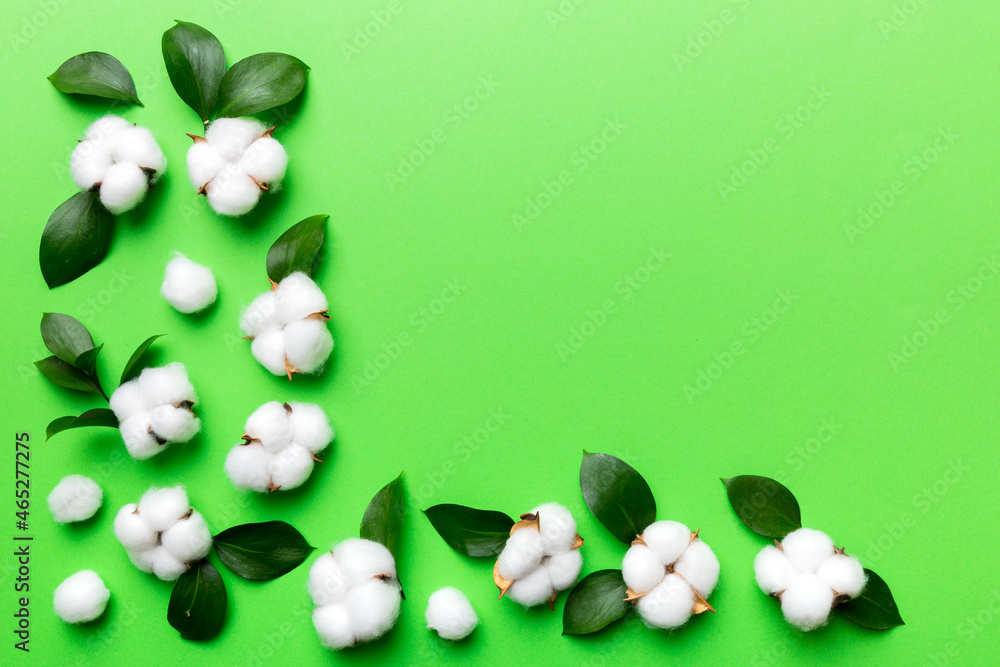 Autumn Floral Flat lay background composition. Dried white fluffy cotton flower branchwith green leaf top view on colored table with copy space Autumn Floral Flat lay background composition. Dried white fluffy cotton flower branchwith green leaf top view on colored table with copy space