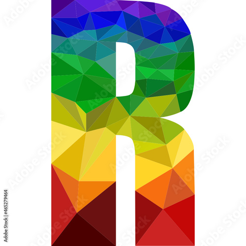 R icon
