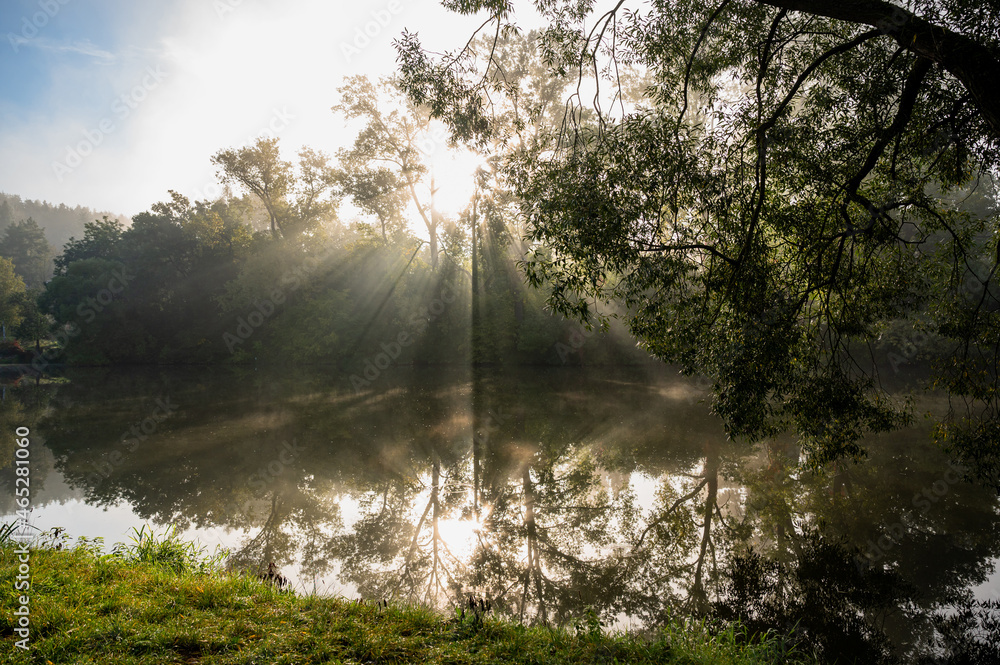 Obraz premium Sunny morning with sun ray on river bank, Kolodeje nad Luznici.