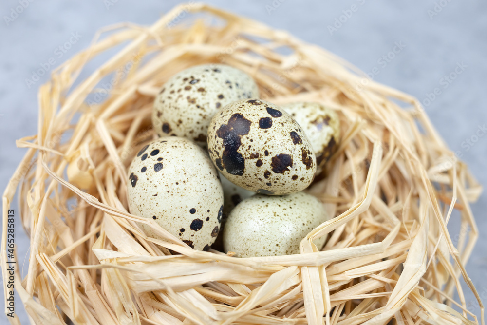 Obraz premium Quail eggs in a nest of hay close-up