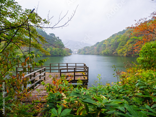 Lake surrounded by deciduous trees in early autumn on a rainy day (Zao, Yamagata, Japan)