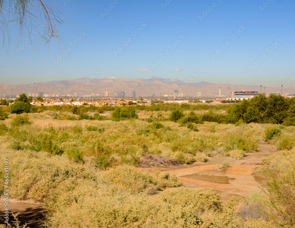 Henderson Bird Viewing Preserve, Henderson, NV. Henderson Bird Viewing Preserve, Henderson, NV.