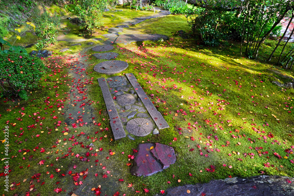 Fototapeta premium 日本庭園秋の風景 臥龍山荘 愛媛県大洲市