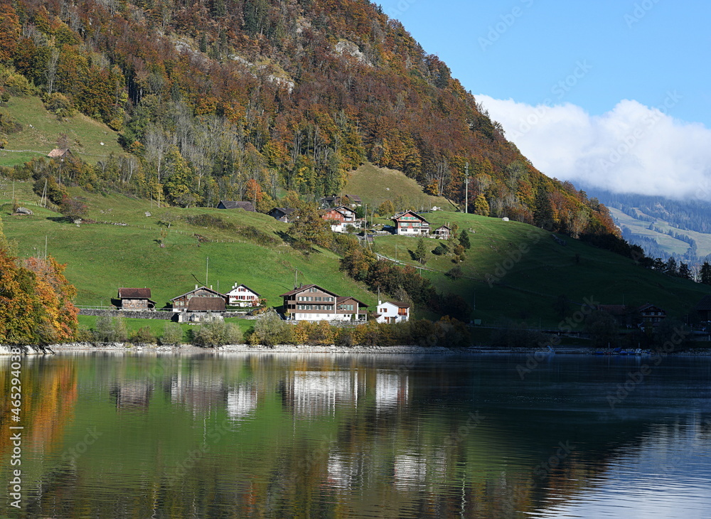 Fototapeta premium lungern en automne