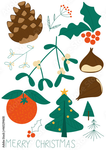 planche de 12 éléments de noël et d'hiver dans la nature : pomme de pain, fleur, branche de houx, orange, branches de gui, sapins