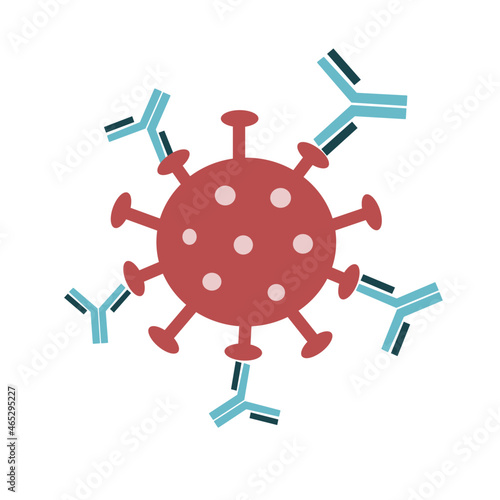 The SARS-CoV-2 or Novel coronavirus-2019 (COVID-19) are bonded with Neutralizing Antibody or Binding Antibody (immunoglobin).