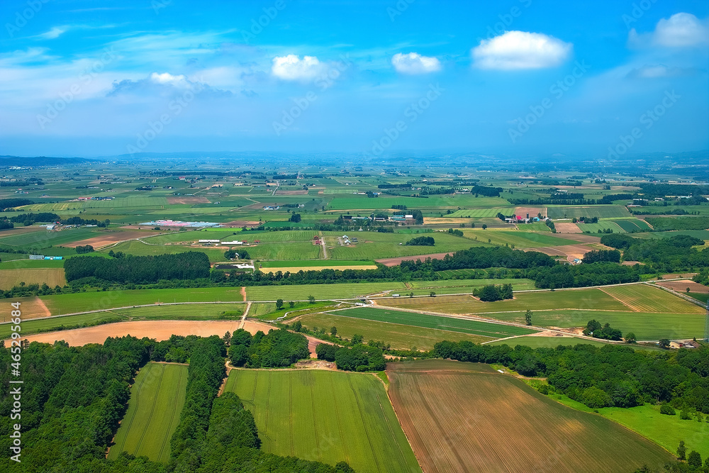 Obraz premium 広大な畑と青空が続く風景