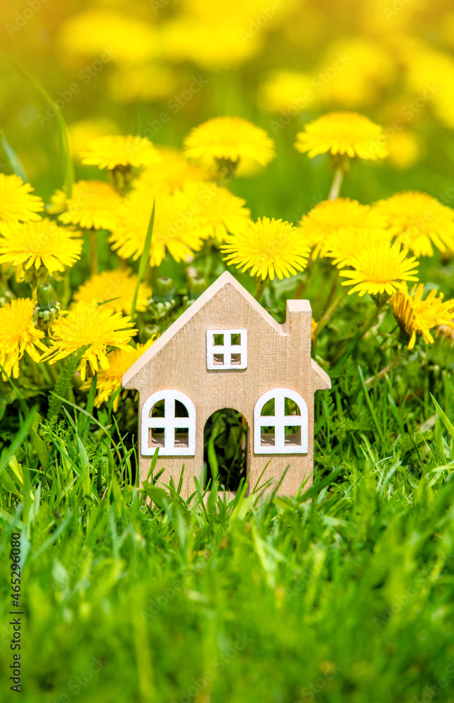 The symbol of the house stands among the yellow dandelions
The symbol of the house stands among the yellow dandelions
