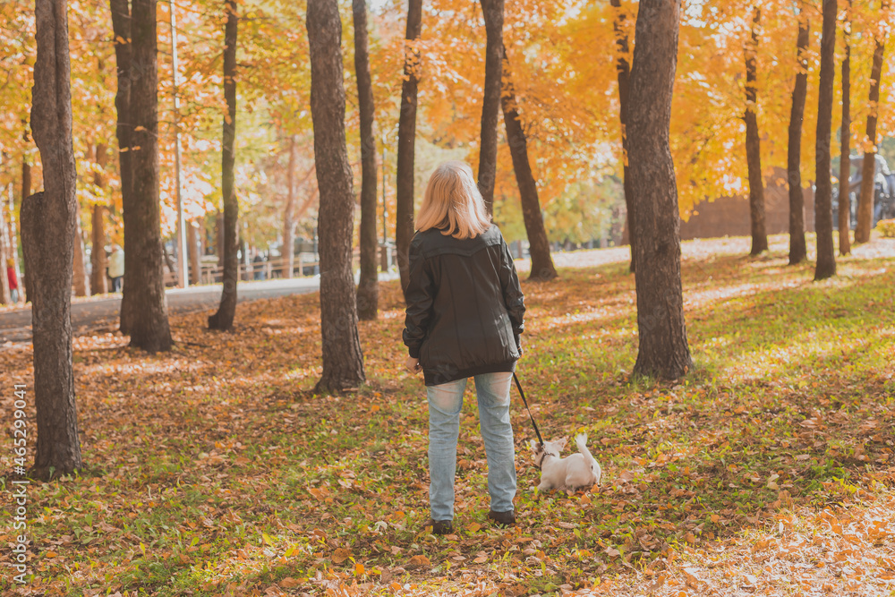 Back view of senior woman with her dog in autumn park. Active aging and pet concept Back view of senior woman with her dog in autumn park. Active aging and pet concept