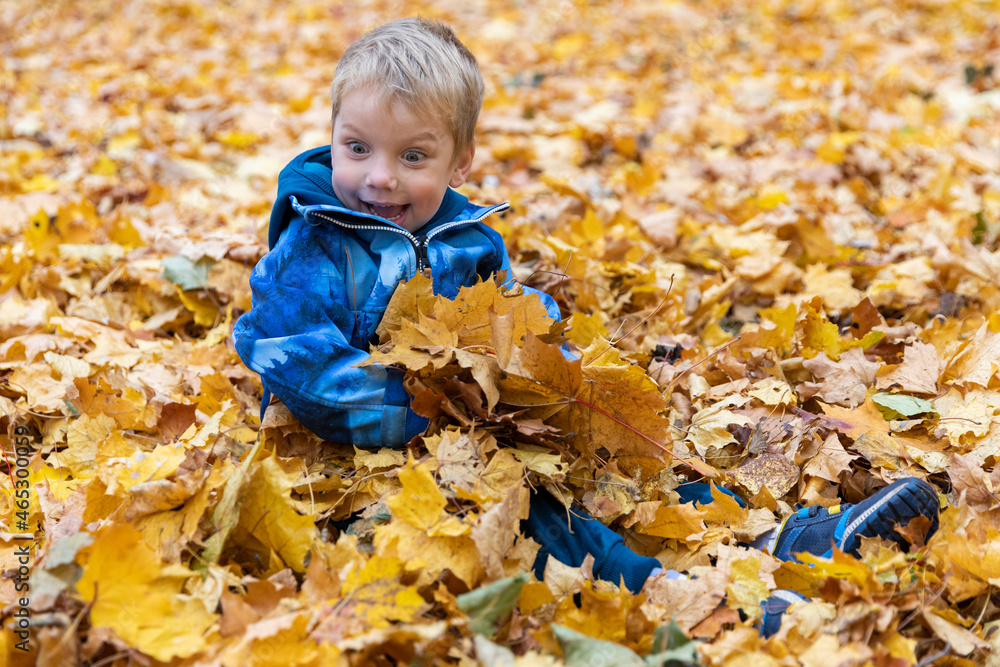 Russia. Saint-Petersburg. Autumn in the Novoznamenka Park. The child is sitting in a pile of fallen leaves. Russia. Saint-Petersburg. Autumn in the Novoznamenka Park. The child is sitting in a pile of fallen leaves.