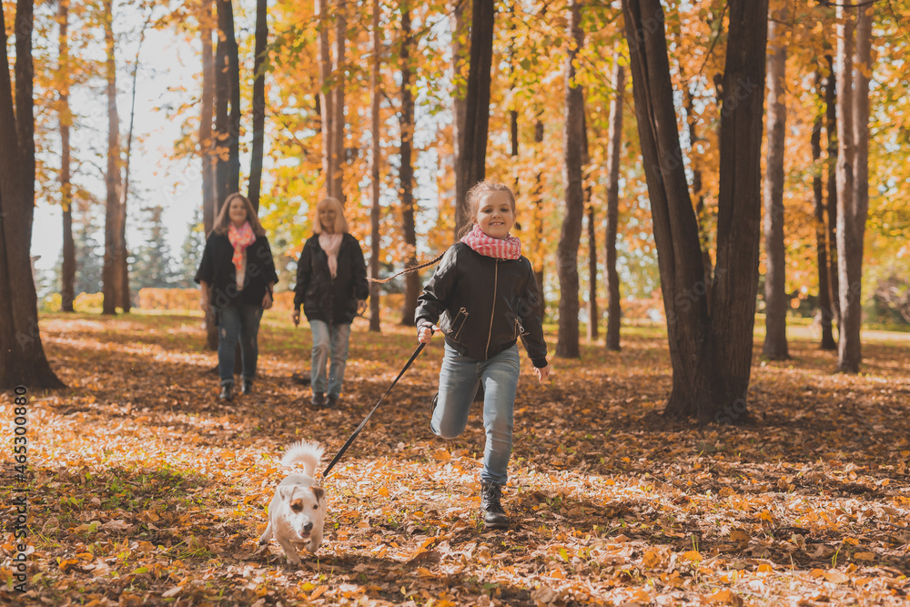 Fototapeta premium Grandmother and mother with granddaughter walks together in autumn park and having fun. Generation, leisure and family concept.