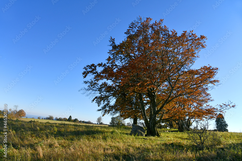 Obraz premium Die Hohe Rhön 
