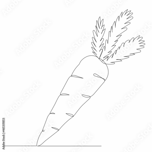 carrot single continuous line drawing vector