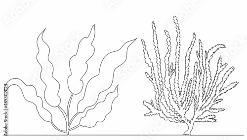 seaweed drawing one continuous line vector