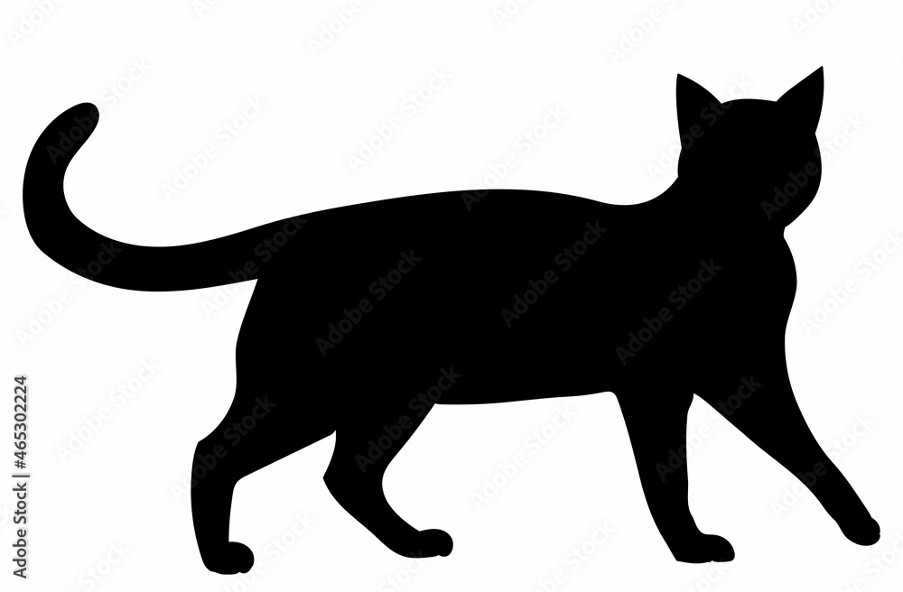 black silhouette cat walking vector, isolated