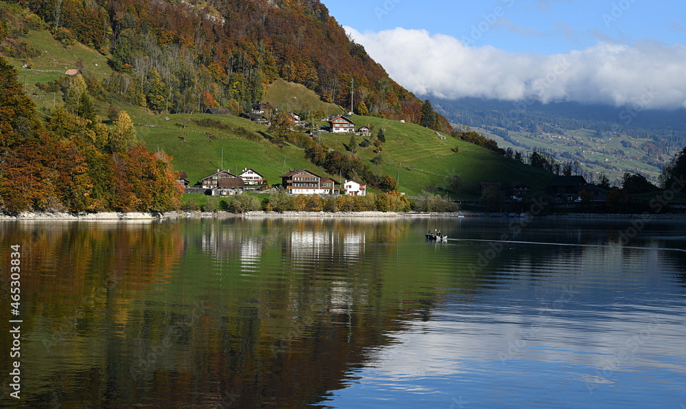 Fototapeta premium lungern en automne
