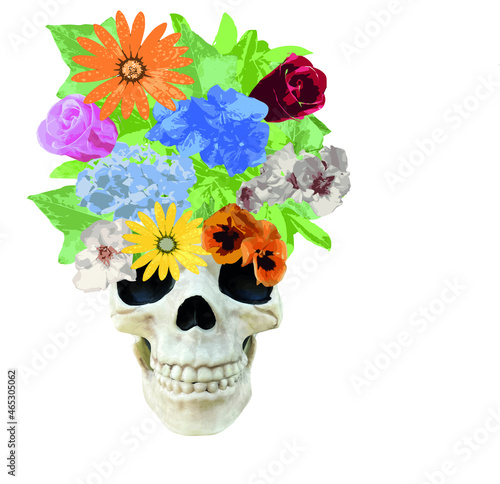 Fototapeta Naklejka Na Ścianę i Meble -  Vector illustration of skull with flowers and leaves  on head. Transparent background