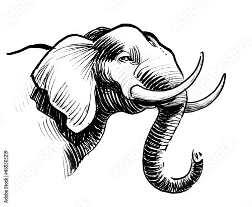 Ink black and white drawing of an African elephant head