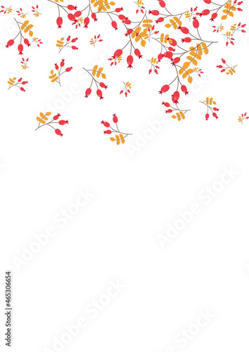 Pink Herb Background White Vector. Leaves Drawn Design. Red Foliage Agriculture. Decorative Template. Leaf Natural.