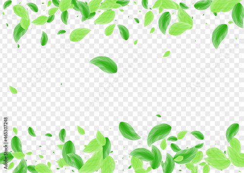 Light Green Leaf Background Transparent Vector. Foliage Flying Texture. Vitality Frame. Green Life Card. Vegetation Delicate.