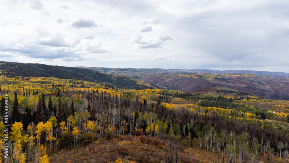 autumn in the mountains - Colorado Fall