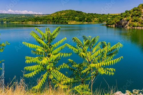 Grliste lake near Zajacar i...