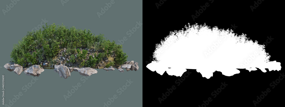 A wide variety of trees and shrubs
