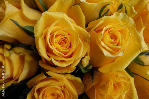 yellow roses bouquet close up macro