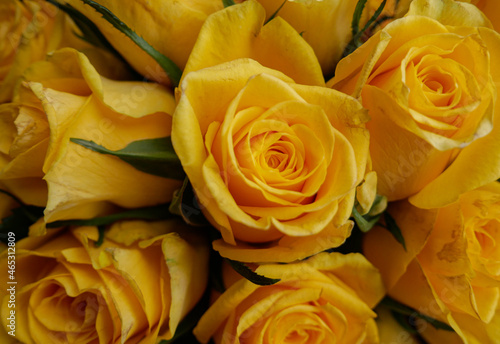 yellow roses bouquet close up macro