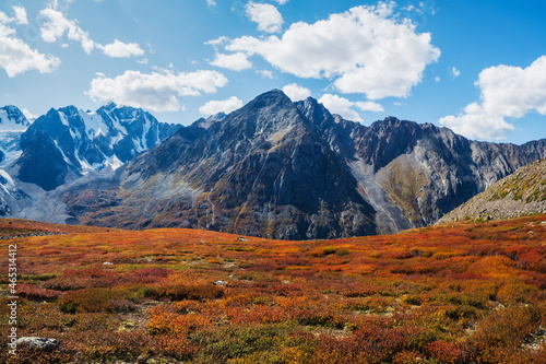 Magic autumn landscape and snow-capped mountain peaks in bright sunny day. Fall foliage color and big mountain with snow on top. Altai.